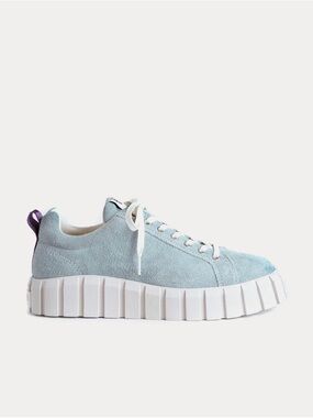 EYTYS Casual Women's Light Blue Suede Platform Sneaker